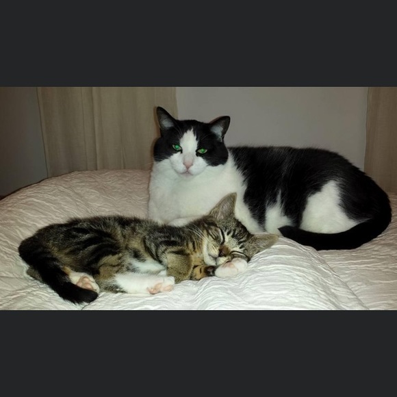 Meet your Posher, Sarah - Picture 2 of 2